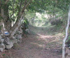 Senda de Valdescaño